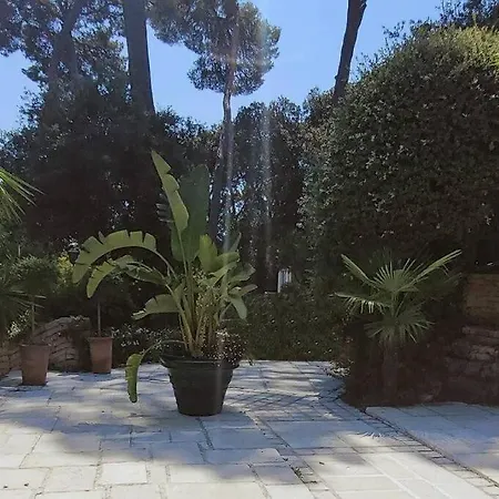 : Bourgeoise Et Piscine, Dans La Villa Cannes